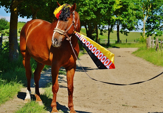 巴甲前瞻：克鲁塞罗11轮不败，近14次战博塔弗戈6胜8平